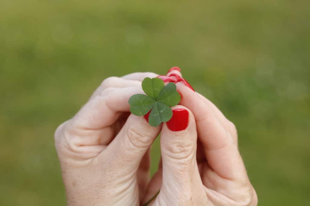 5 csillagjegynek 2 millió forint ütheti a markát a közeljövőbe, ha köztük vagy nagyon szerencsés vagy