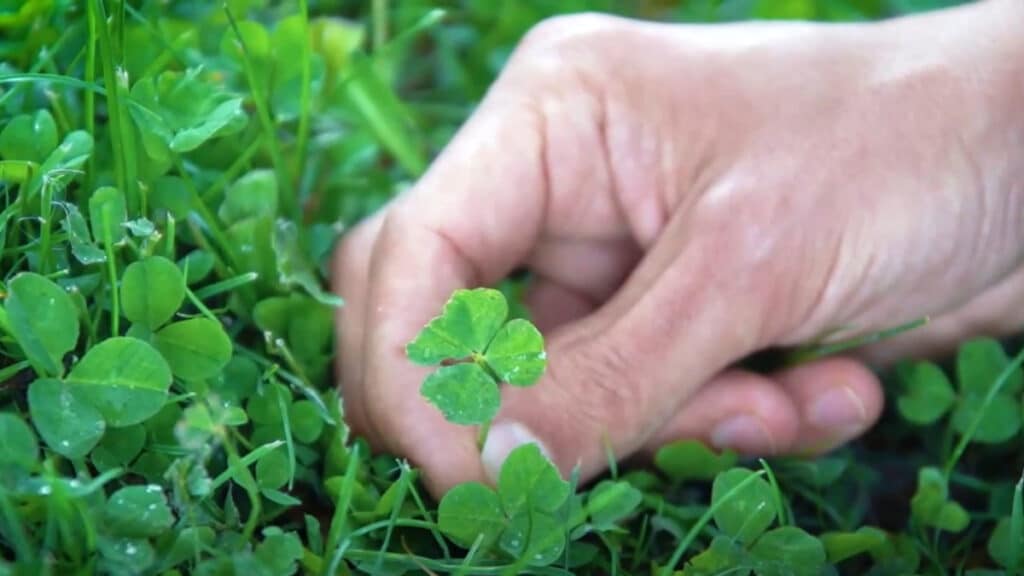 Szerencsenapok jönnek 5 csillagjegy életében, lehet, hogy te is köztük vagy!