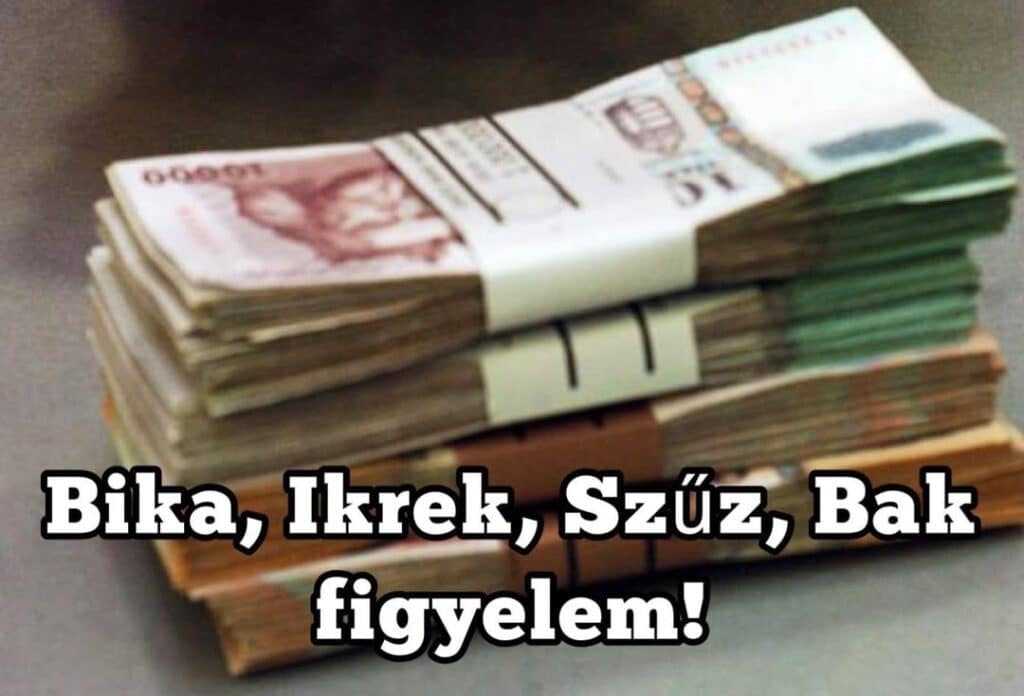 bak figyelem