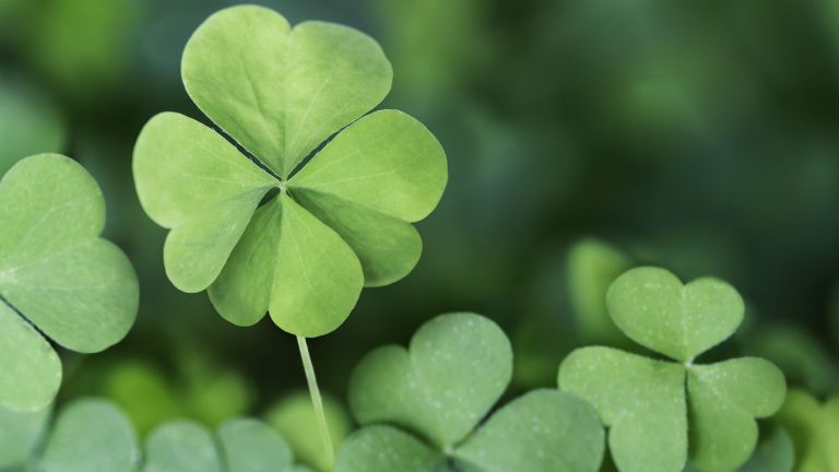 A legnagyobb szerencsében fog úszni ez a 4 csillagjegy holnaptól kezdve